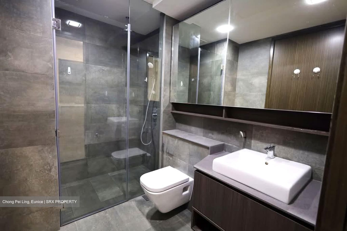 Grandeur Park Residences (D16), Condominium #570112651